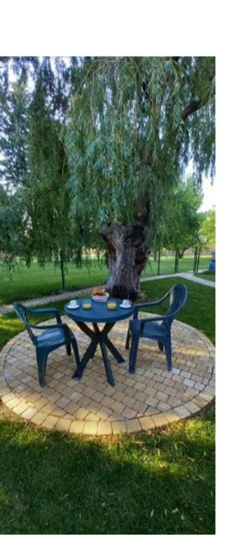 Logement Lumineux, Entierement Renove Avec Jardin Caumont-sur-Durance Екстериор снимка